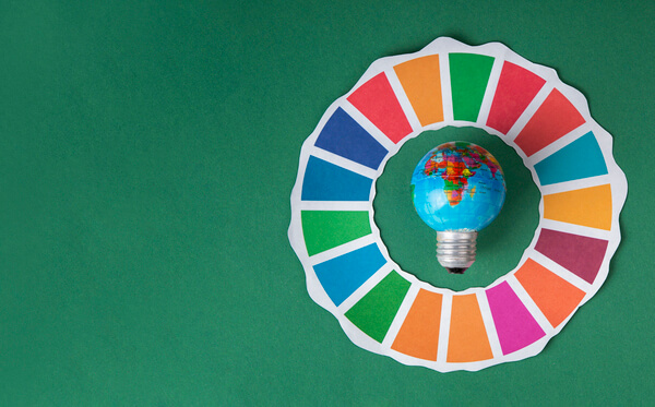 SDG & Sustainable Strategies